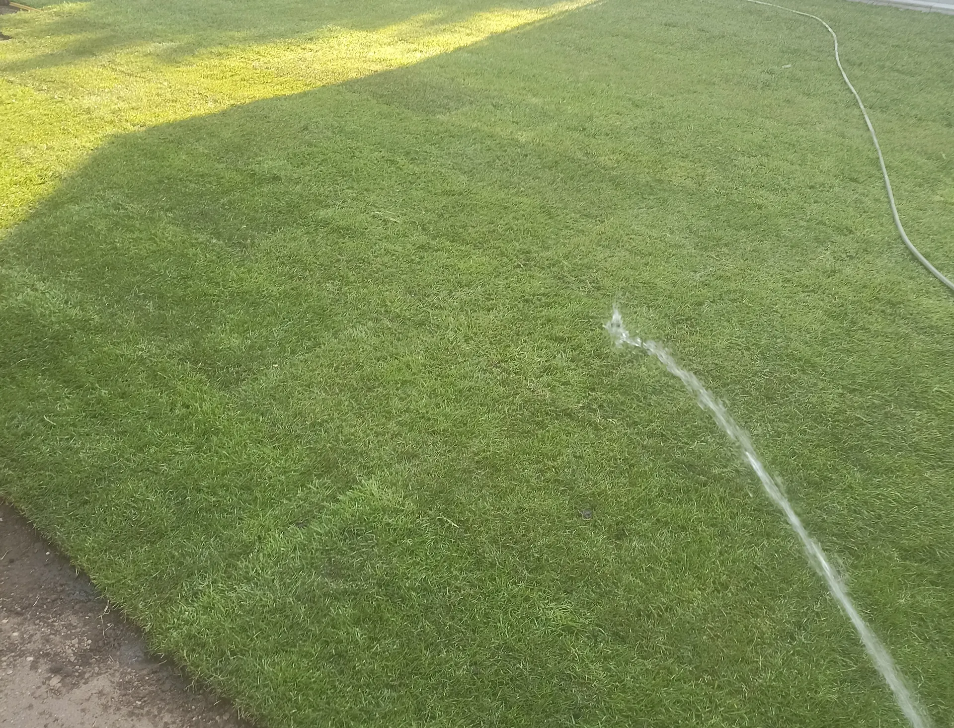 New lawn laid during the garden landscaping stage.